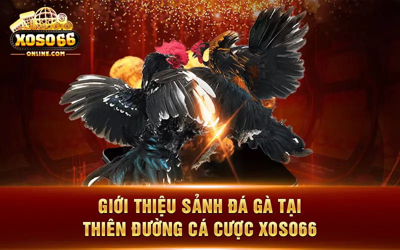 Tìm Hiểu Về Alo789 Đá Gà